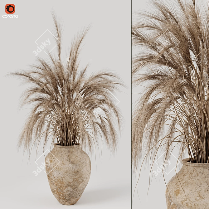 Decorative Dried Pampas Grass 3D model image 1