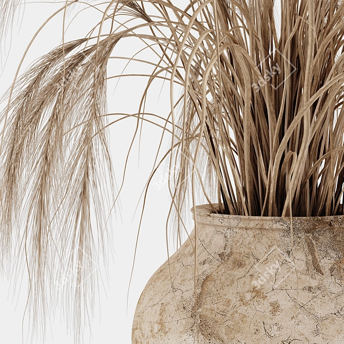 Decorative Dried Pampas Grass 3D model image 2