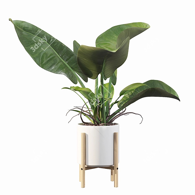 Lush Philodendron Imperial Green 3D model image 3