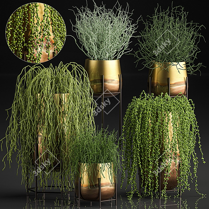 Exotic Indoor Plant Collection 3D model image 1