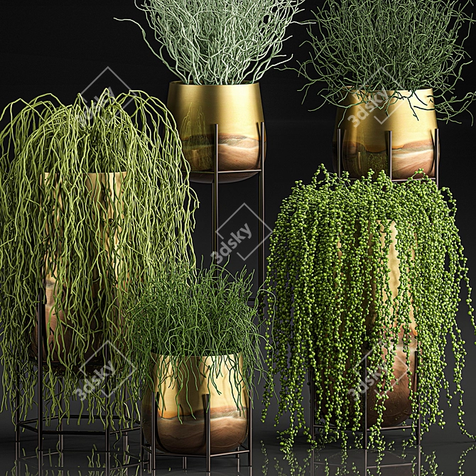 Exotic Indoor Plant Collection 3D model image 2