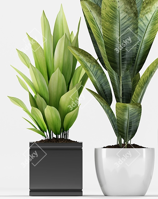 Tropical Paradise Plant Trio 3D model image 3