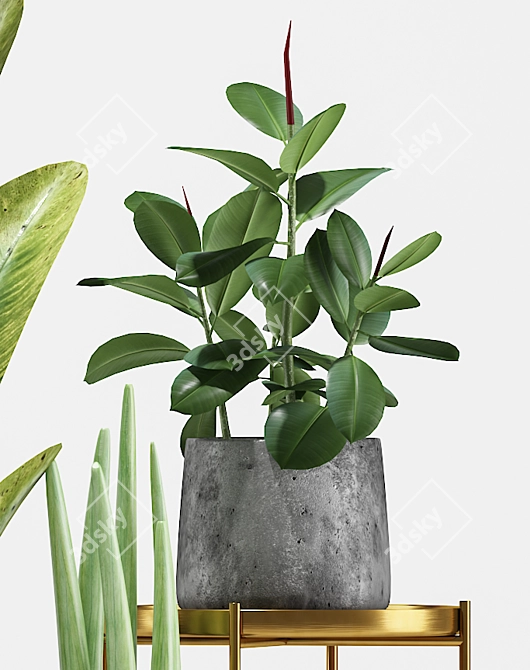 Tropical Paradise Plant Trio 3D model image 4