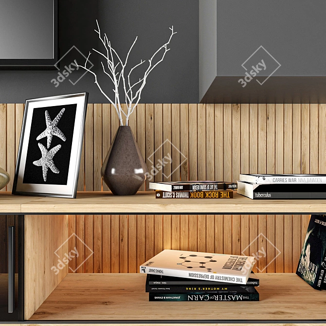 Modern TV Shelf Unit - 3D Max, V-Ray 3D model image 3