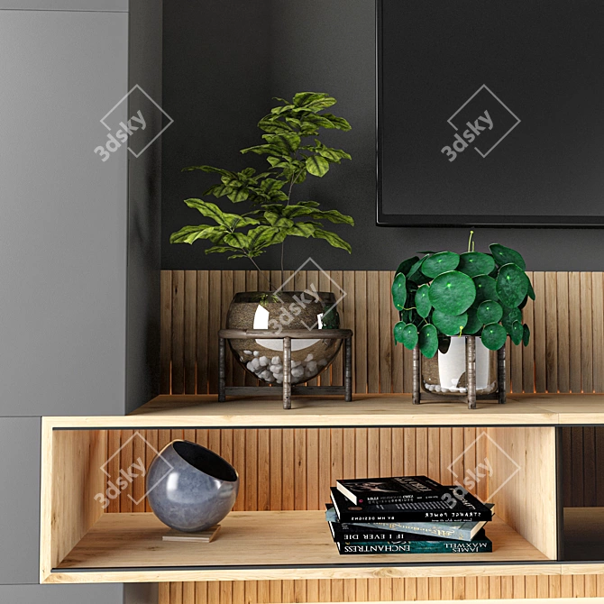 Modern TV Shelf Unit - 3D Max, V-Ray 3D model image 4