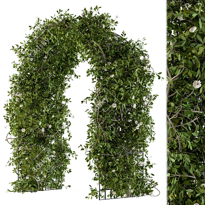 Natural Greenery Pergola 3D model image 2