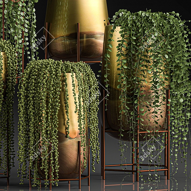 Tropical Plant Collection: Exotic Indoor Succulents 3D model image 2