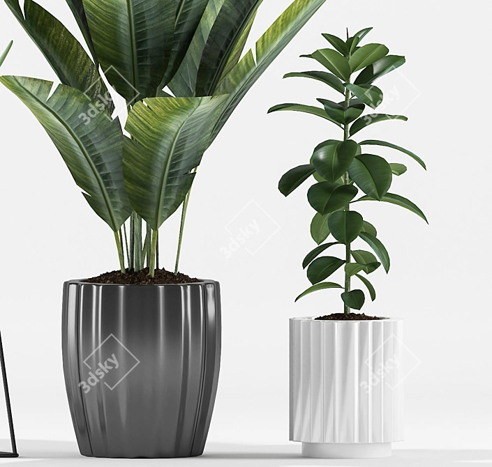 Tropical Paradise Plant Set 3D model image 4