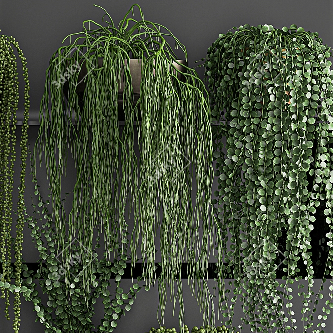 Title: Vertical Green Decor - Exotic & Tropical Plants 3D model image 3