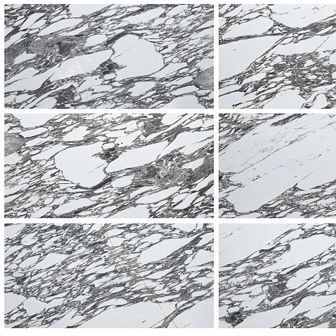 Arabescato Blanco TileKraft: Polished & Matt Luxury Tiles 3D model image 3