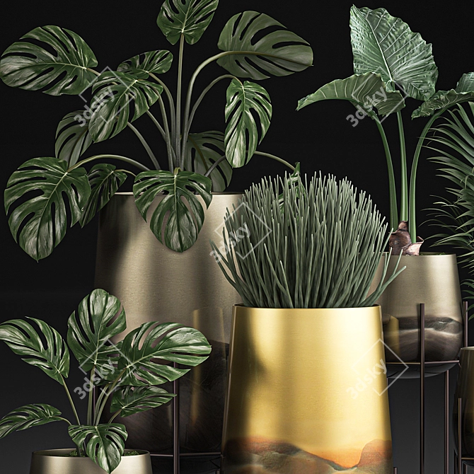 Tropical Plant Collection: Monstera, Kentia, Sansevieria 3D model image 2
