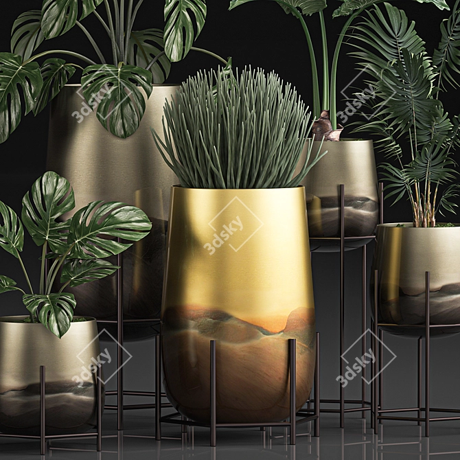 Tropical Plant Collection: Monstera, Kentia, Sansevieria 3D model image 3