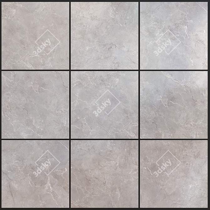 Mioni Gray Marble Set: High-Quality Multi-Texture Pixels 3D model image 1