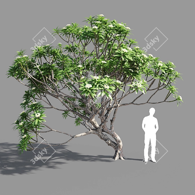 Polys: 422 791 - Unique Purity 3D model image 5