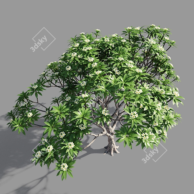 Elegant Plumeria Quartz Necklace 3D model image 2