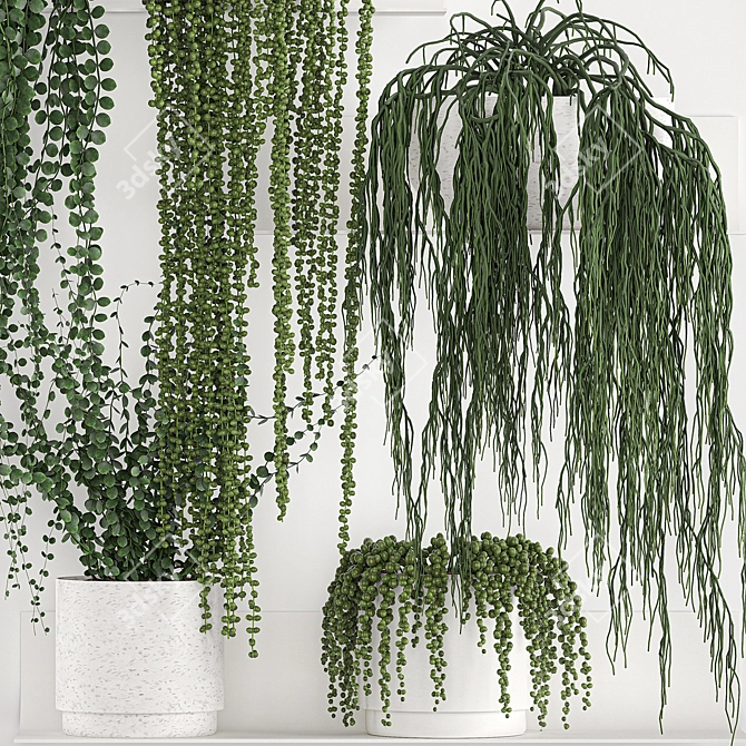 Indoor Exotic Plant Collection 3D model image 4