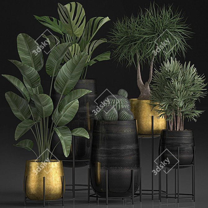 Tropical Indoor Plant Collection 3D model image 1