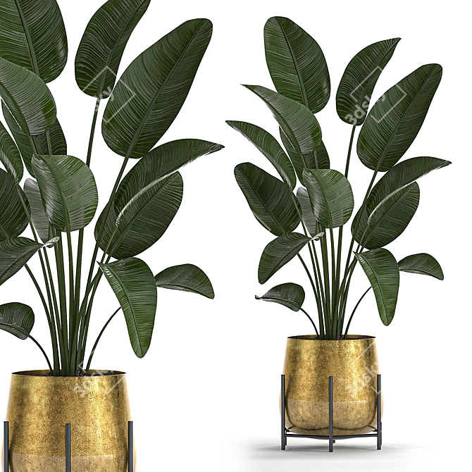 Tropical Indoor Plant Collection 3D model image 2