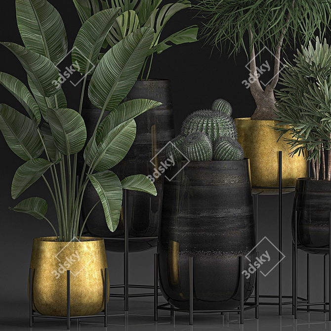 Tropical Indoor Plant Collection 3D model image 3