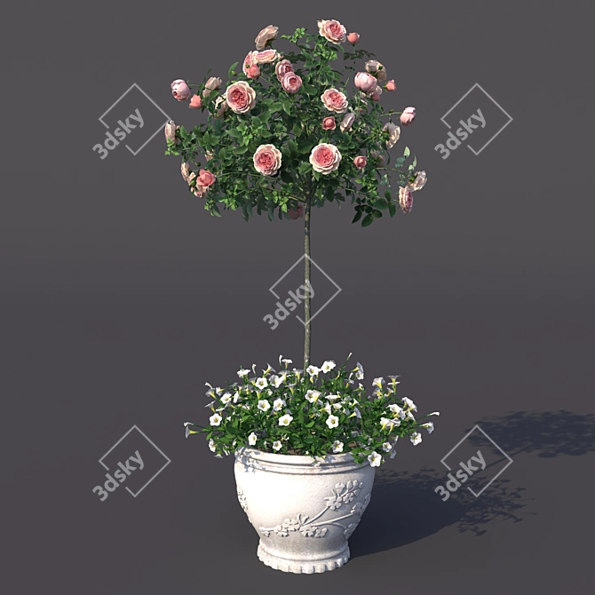 Stunning Potted Rose Bush 3D model image 2