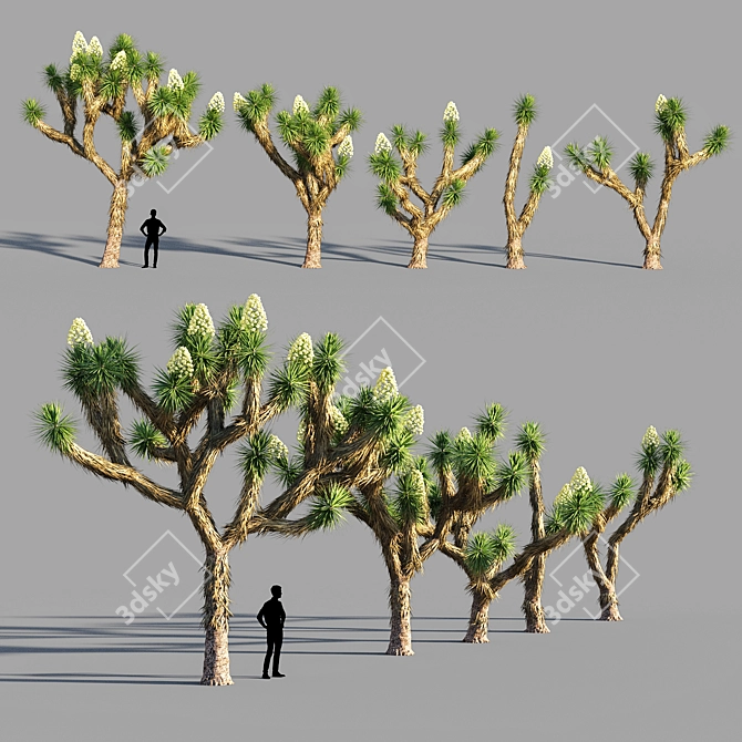  Joshua Tree Collection: 5 Varied Trees 3D model image 1