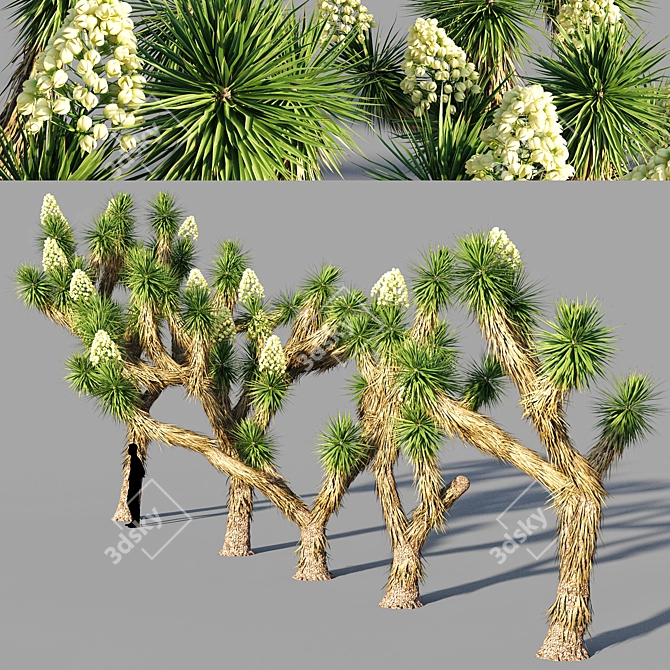  Joshua Tree Collection: 5 Varied Trees 3D model image 2