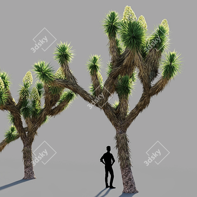  Joshua Tree Collection: 5 Varied Trees 3D model image 3