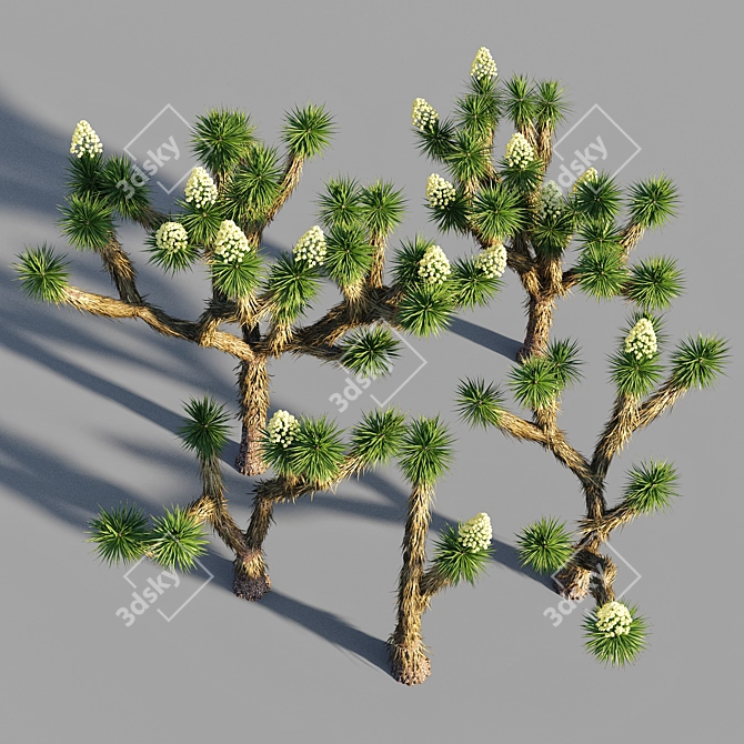  Joshua Tree Collection: 5 Varied Trees 3D model image 4