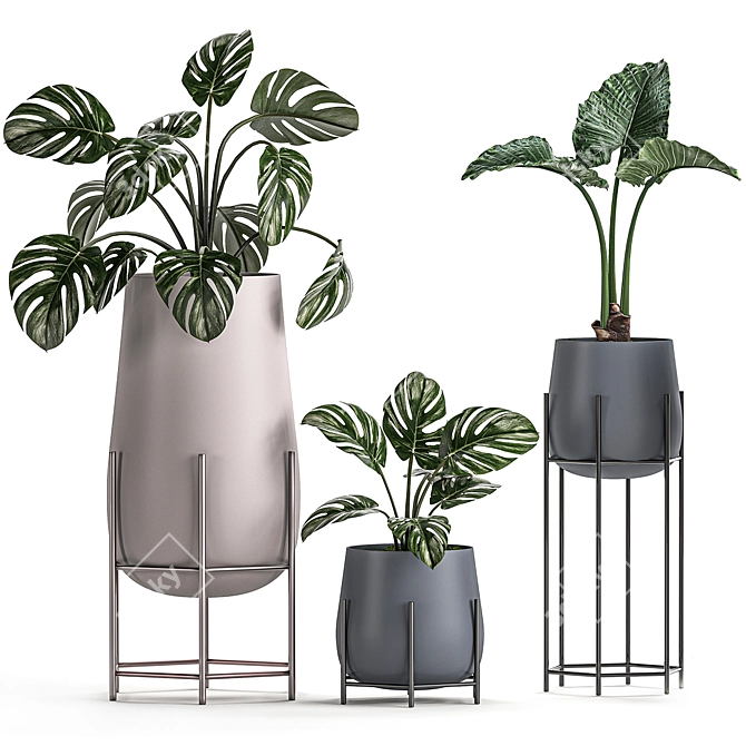 Tropical Plant Set: Palms, Monstera & More 3D model image 2