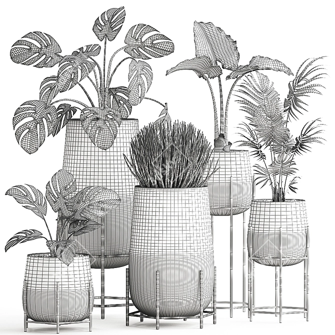 Tropical Plant Set: Palms, Monstera & More 3D model image 5