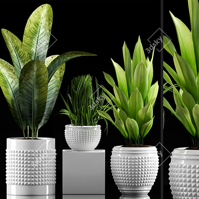 Exotic Plant Collection Set 3D model image 1