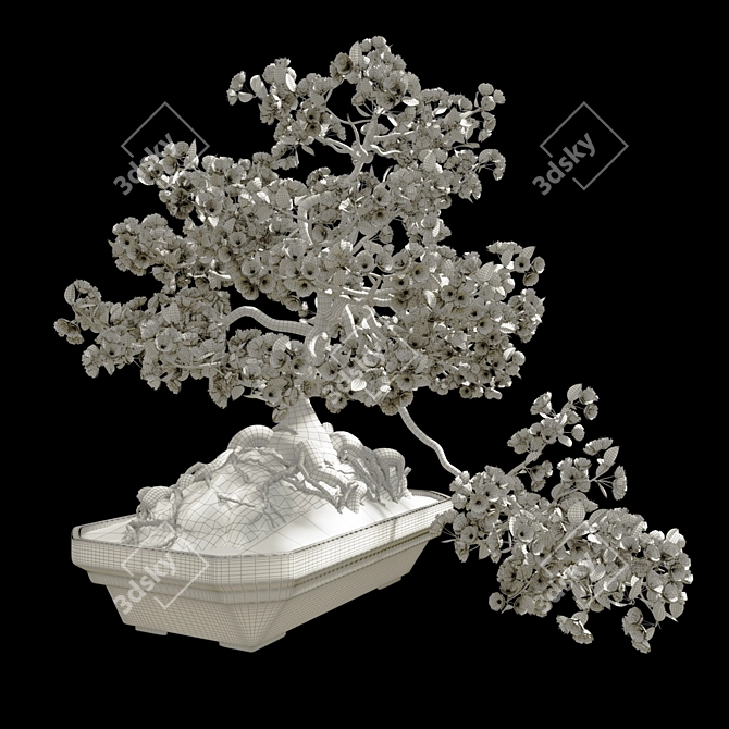 Miniature Sakura Bonsai 3D model image 2