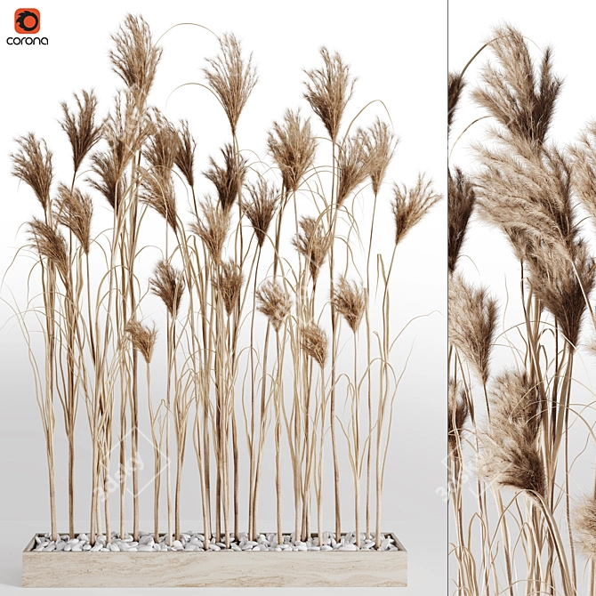 7 Stems Pampas Grass Bunch 3D model image 1