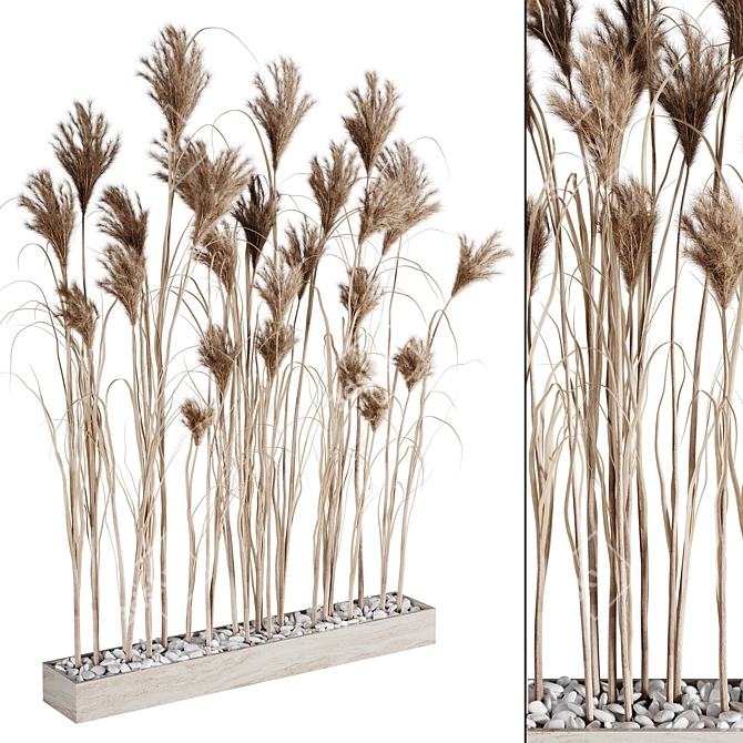 7 Stems Pampas Grass Bunch 3D model image 9