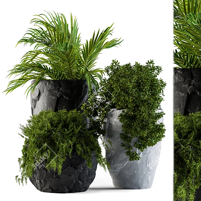 Rock Pot Plant Set 3D model image 1