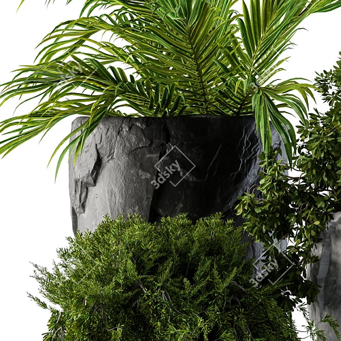 Rock Pot Plant Set 3D model image 2