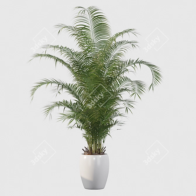 Tropical Bliss: Areca Palm Collection 3D model image 2