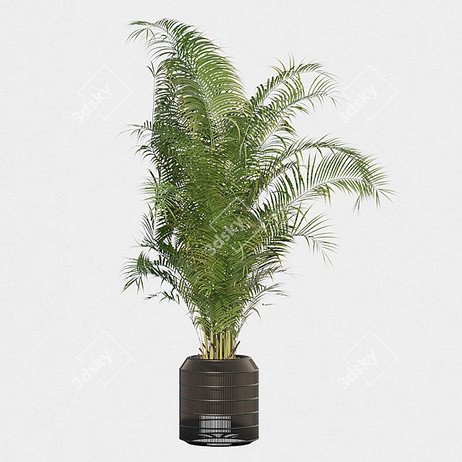 Tropical Bliss: Areca Palm Collection 3D model image 3