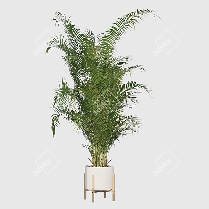 Tropical Bliss: Areca Palm Collection 3D model image 4