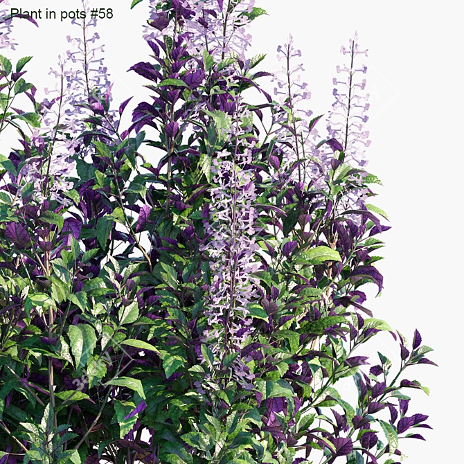 Mona Lavender: Versatile Pot Plant 3D model image 2