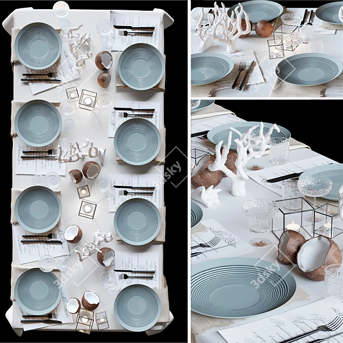 Coconut Beach Table Setting 3D model image 1