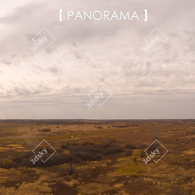 Field 11 Panorama: Perfect Background in Any Lighting 3D model image 4