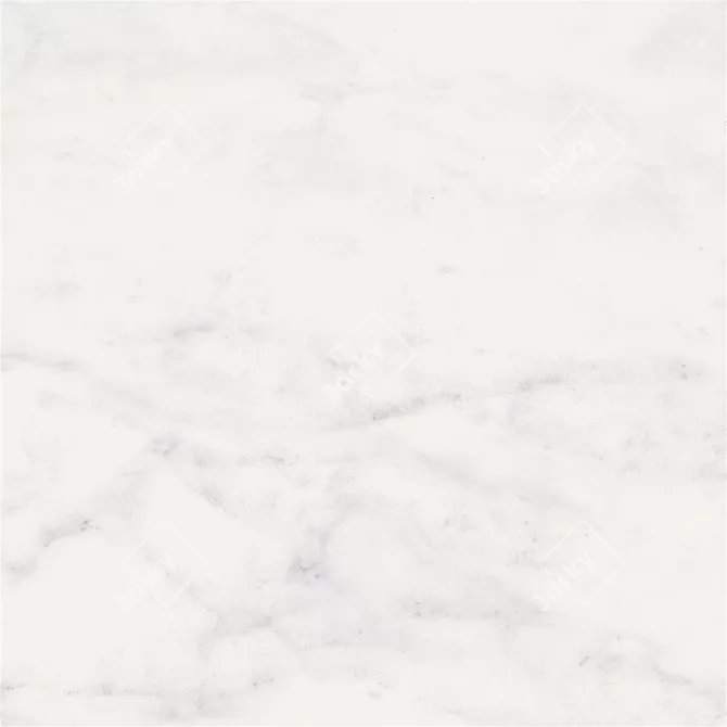 Elegant Carrara White Marble Flooring 3D model image 3