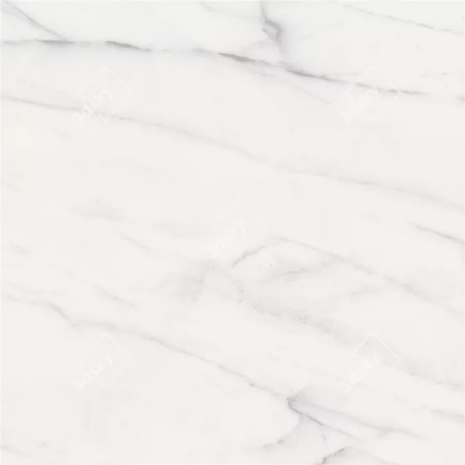 Elegant Carrara White Marble Flooring 3D model image 3