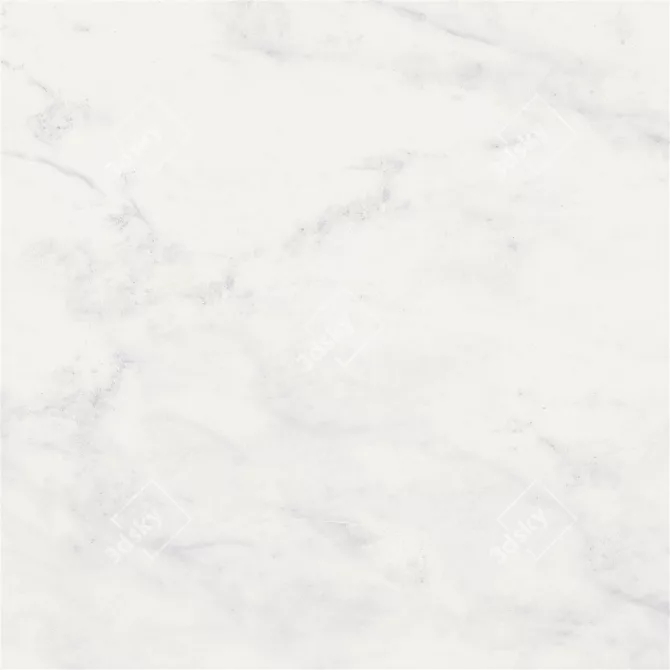 Classic Carrara White Marble Flooring Set 3D model image 3