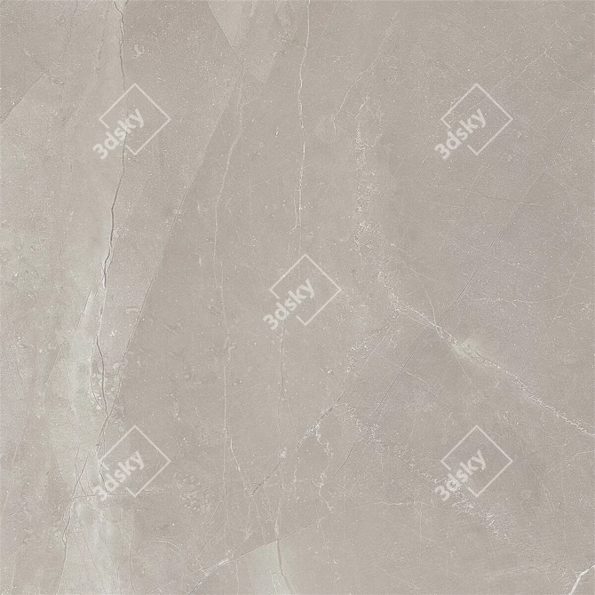 Classic Pulpis Gray Marble Floor Set 3D model image 3