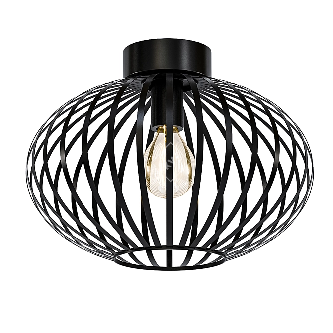 Elegant Industrial Metal Ceiling Light 3D model image 1