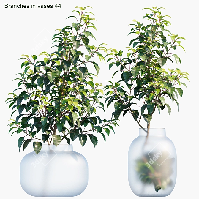 Elegant Branches in Vases 3D model image 1