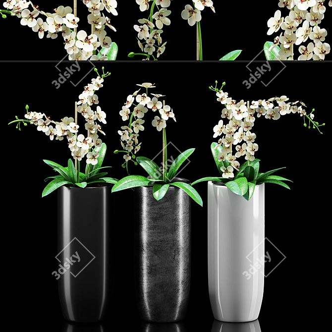 Exquisite Orchid Flower Set 3D model image 1