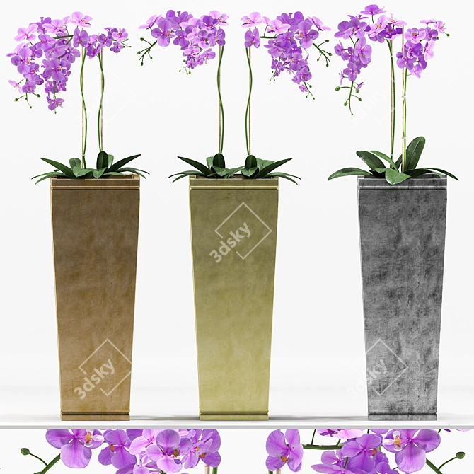 Floral 3D Orchids Set 3D model image 1